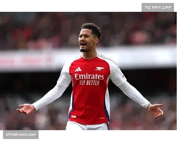 专栏作家评点：萨利巴的成长是阿森纳本赛季防守稳固的基石